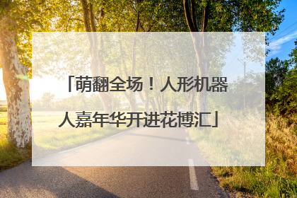 萌翻全场！人形机器人嘉年华开进花博汇